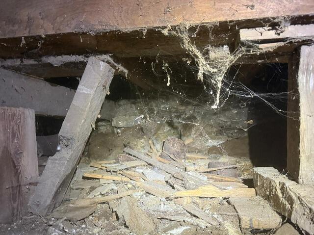 Crawl Space Encapsulation, Insulation, and Structural Support in Rosedale, BC - Before Photo