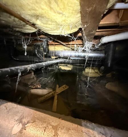 Crawl Space Encapsulation System in Langley, BC - Before Photo