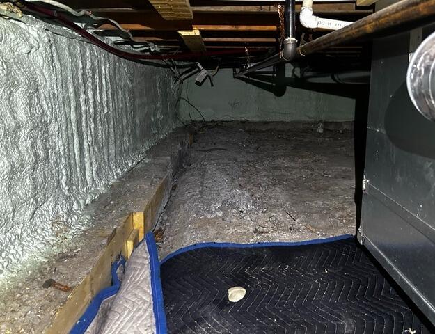 Crawl Space Encapsulation & Humidity Control in Langley, BC - Before Photo