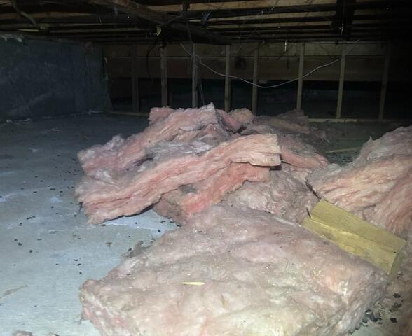 Crawl Space Cleaning and Debris Removal in Surrey