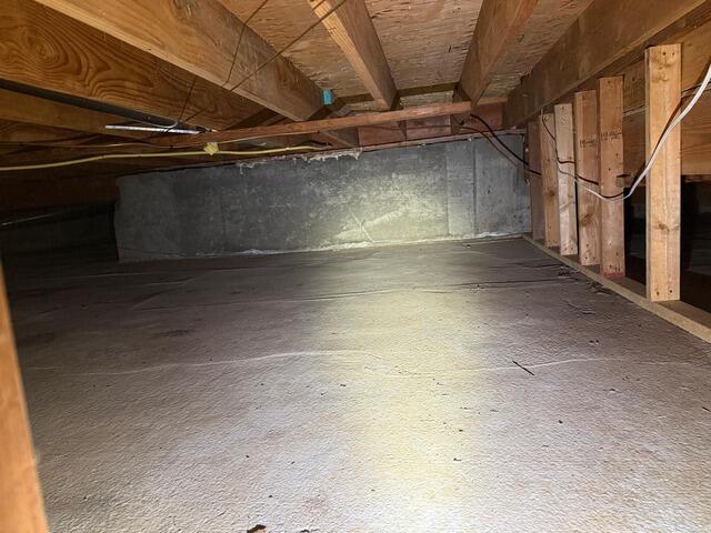Crawl Space Cleaning and Debris Removal in Surrey