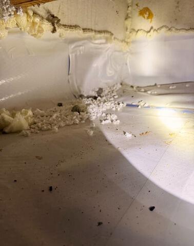 Foundation Crack Structural Reinforcement in Maple Ridge - Before Photo