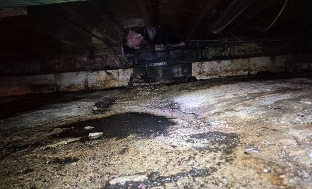 The Ultimate Crawl Space Transformation for a Healthier Home in Surrey - Before Photo