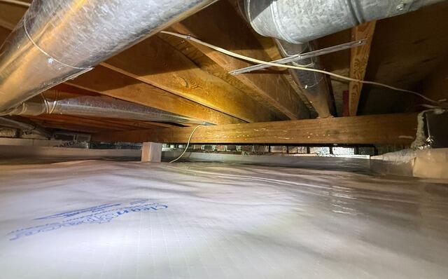 The Ultimate Crawl Space Transformation for a Healthier Home in Surrey - After Photo
