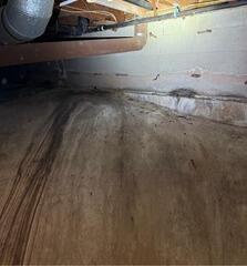 Transforming Your Crawl Space Into a Clean, Dry, and Protected Area