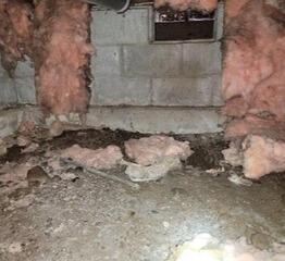 Creating a Healthier, More Comfortable Crawl Space