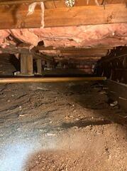 Restoring a Cleaner, Healthier Crawl Space After Rodent Activity in North Vancouver