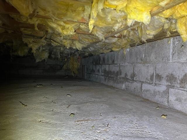 Cold and Damp Crawl Space Transformed in East Aurora, NY - Before Photo