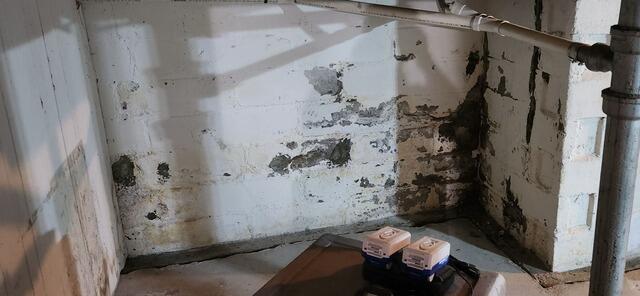 Wet Basement Transformed in Rochester, NY