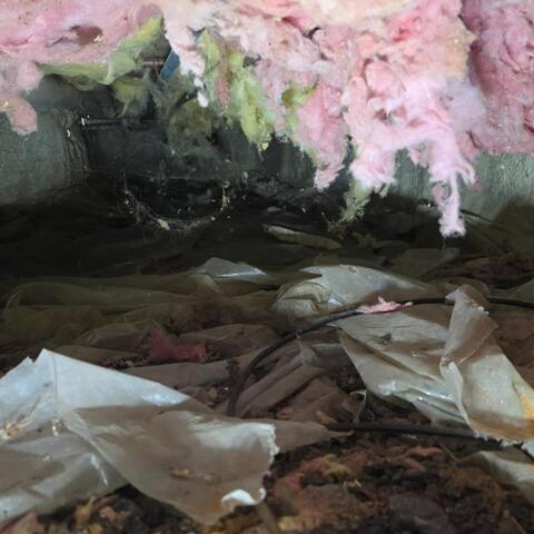 Crawl Space Waterproofing Solution Installed in Angola, NY