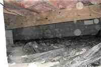 Smart jacks in Salisbury, Maryland