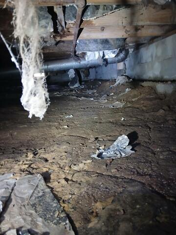 Crawl Space Transformation: Dry, Protected, and Mold-Free in Lawrenceville, IL - Before Photo