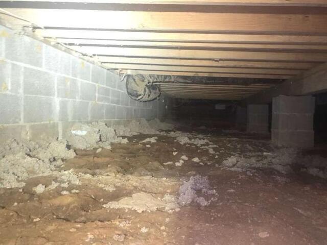 From Damp to Dry-A Fresh Start for This Crawlspace in Morganfield KY - Before Photo