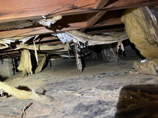 A Crawl Space Transformation in Philpot, KY: sealed and protected - Before Photo
