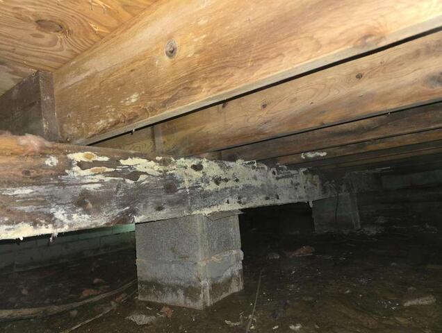 Crawl Space Encapsulation & Waterproofing in Madisonville, KY - Before Photo