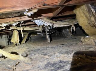 A Crawl Space Transformation in Philpot, KY: sealed and protected