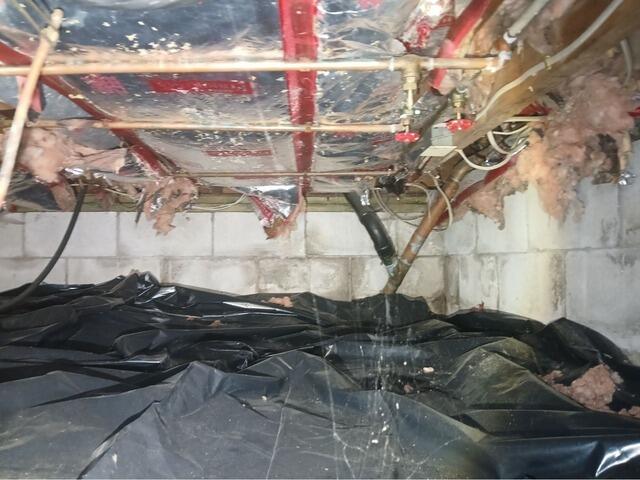 Wilbraham, MA Crawl Space Transformation - Before Photo
