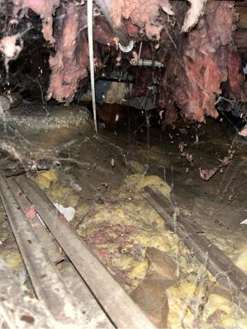 Crawl Space Transformation in Jamestown, RI - Before Photo