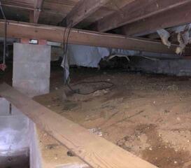 Crawlspace Transformation in West Chatham, MA