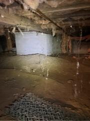 Crawl Space Transformation in Kingston, RI