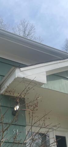 Squirrels Chomping Their Way Into Home in Deal, NJ