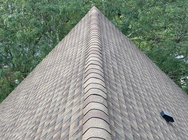Keeping the Property Safe from Bats with Ridge-Guard® in Holmdel, NJ - Before Photo