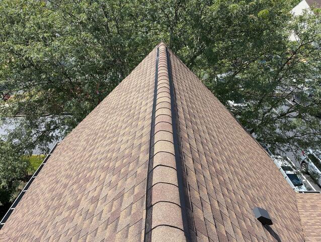 Keeping the Property Safe from Bats with Ridge-Guard® in Holmdel, NJ - After Photo