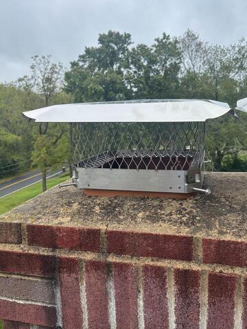Starlings Harboring in the Chimney in Montgomery, NJ
