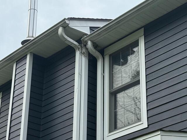 Way Up on the House is a Bald-Faced Hornet's Nest in Fair Haven, NJ