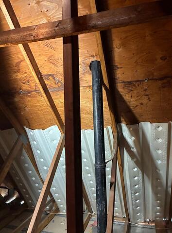 Cleaning Up After the Flying Squirrels in Brielle, NJ