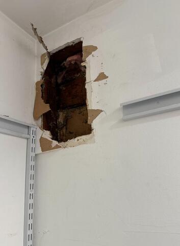 Removing Yellow Jackets From the Closet in Neptune, NJ