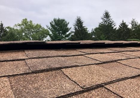 No More Flying Squirrels Getting Into the Attic in West Creek, NJ - Before Photo