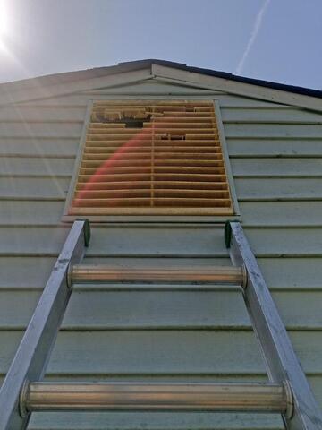 Squirrels Ruin Weathered Gable Vent in Rocky Hill, NJ - Before Photo