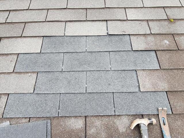 Squirrels Use Forgotten Vent Pipe to Infest Home in Avon By The Sea, NJ - After Photo