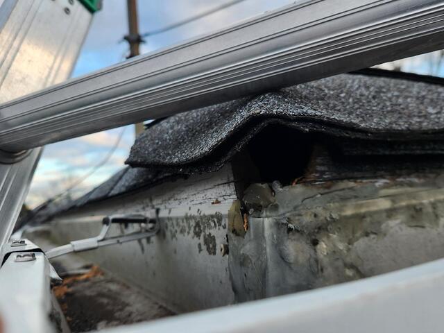 The Builder's Gap Allows Squirrels to Infest Home in Beachwood, NJ