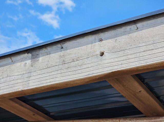 Carpenter Bees Love the Outdoor Bar in Lavallette, NJ - Before Photo