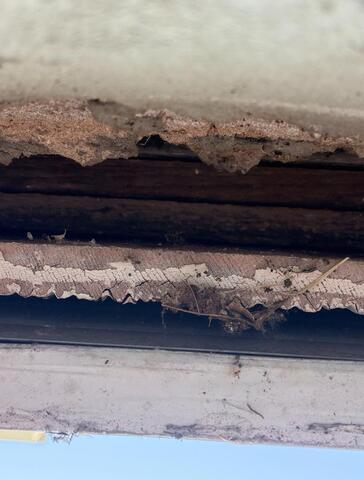 Keep the Chipmunks Out of the Siding in South River, NJ - Before Photo