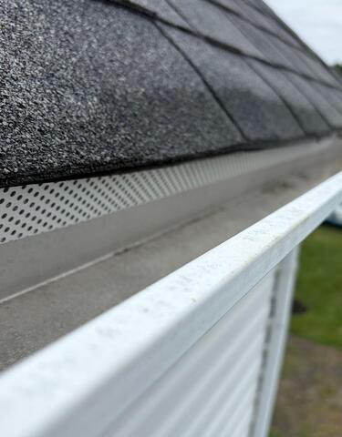 Flying Squirrels Exploit Builder's Gap in South Amboy, NJ