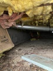 Disinfecting a Mice Filled Crawl Space in Woodbridge, NJ