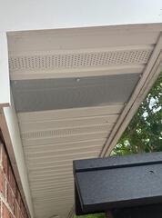 Squirrels Chewing Their Way Into Home in Tinton Falls, NJ