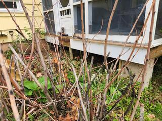 No More Groundhogs Burrowing Underneath the Deck in Princeton Junction, NJ
