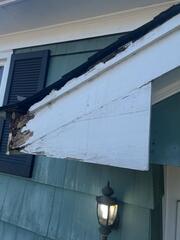 Squirrels Chomping Their Way Into Home in Deal, NJ