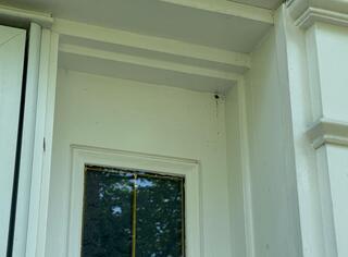 Yellow Jackets Starting to Nest by the Front Door in Fords, NJ