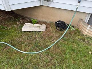 Removing the Yellow Jackets Nest in Woodbridge, NJ