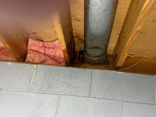 Yellow Jackets Hiding in the Insulation in West Windsor, NJ