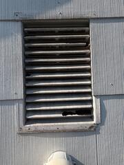 Excluding the Gable Vents from Bats in Skillman, NJ