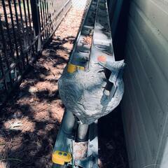 Bald-Faced Hornets Use the Ladder in West Windsor, NJ