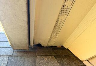 Flying Squirrels Chewed Up Soffit in Lavallette, NJ