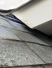 Stopping Future Flying Squirrel Infestations in Gladstone, NJ