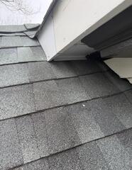 Stopping Future Flying Squirrel Infestations in Gladstone, NJ